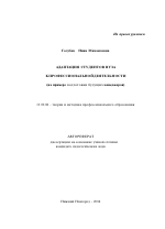 Автореферат по педагогике на тему «Адаптация студентов вуза к профессиональной деятельности», специальность ВАК РФ 13.00.08 - Теория и методика профессионального образования