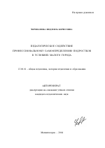 Автореферат по педагогике на тему «Педагогическое содействие профессиональному самоопределению подростков в условиях малого города», специальность ВАК РФ 13.00.01 - Общая педагогика, история педагогики и образования