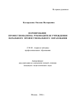 Автореферат по педагогике на тему «Формирование профессионализма руководителя учреждения начального профессионального образования», специальность ВАК РФ 13.00.08 - Теория и методика профессионального образования