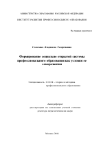 Автореферат по педагогике на тему «Формирование социально открытой системы профессионального образования как условия ее саморазвития», специальность ВАК РФ 13.00.08 - Теория и методика профессионального образования