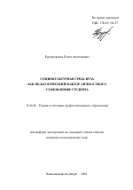 Автореферат по педагогике на тему «Социокультурная среда вуза как педагогический фактор личностного становления студента», специальность ВАК РФ 13.00.08 - Теория и методика профессионального образования