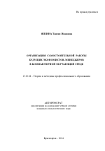 Автореферат по педагогике на тему «Организация самостоятельной работы будущих экономистов-менеджеров в компьютерной обучающей среде», специальность ВАК РФ 13.00.08 - Теория и методика профессионального образования