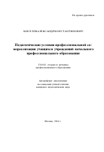 Автореферат по педагогике на тему «Педагогические условия профессиональной самореализации учащихся учреждений начального профессионального образования», специальность ВАК РФ 13.00.08 - Теория и методика профессионального образования