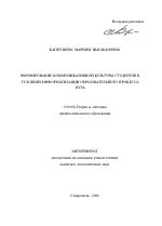Автореферат по педагогике на тему «Формирование коммуникативной культуры студентов в условиях информатизации образовательного процесса вуза», специальность ВАК РФ 13.00.08 - Теория и методика профессионального образования