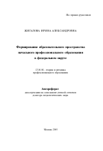 Автореферат по педагогике на тему «Формирование образовательного пространства начального профессионального образования в федеральном округе», специальность ВАК РФ 13.00.08 - Теория и методика профессионального образования