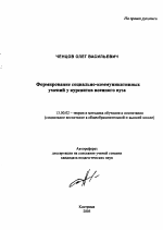 Автореферат по педагогике на тему «Формирование социально-коммуникативных умений у курсантов военного вуза», специальность ВАК РФ 13.00.02 - Теория и методика обучения и воспитания (по областям и уровням образования)