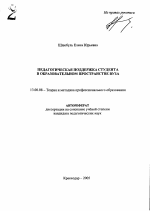 Автореферат по педагогике на тему «Педагогическая поддержка студента в образовательном пространстве вуза», специальность ВАК РФ 13.00.08 - Теория и методика профессионального образования