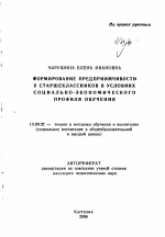 Автореферат по педагогике на тему «Формирование предприимчивости у старшеклассников в условиях социально-экономического профиля обучения», специальность ВАК РФ 13.00.02 - Теория и методика обучения и воспитания (по областям и уровням образования)