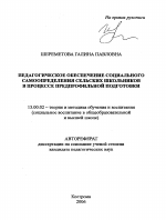 Автореферат по педагогике на тему «Педагогическое обеспечение социального самоопределения сельских школьников в процессе предпрофильной подготовки», специальность ВАК РФ 13.00.02 - Теория и методика обучения и воспитания (по областям и уровням образования)