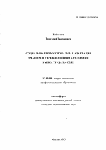 Автореферат по педагогике на тему «Социально-профессиональная адаптация учащихся учреждений НПО к условиям рынка труда на селе», специальность ВАК РФ 13.00.08 - Теория и методика профессионального образования