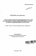 Автореферат по педагогике на тему «Управление информационными ресурсами научно-педагогической деятельности вуза», специальность ВАК РФ 13.00.08 - Теория и методика профессионального образования