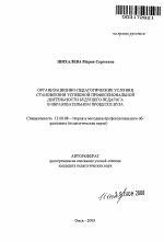 Автореферат по педагогике на тему «Организационно-педагогические условия становления успешной профессиональной деятельности будущего педагога в образовательном процессе вуза», специальность ВАК РФ 13.00.08 - Теория и методика профессионального образования