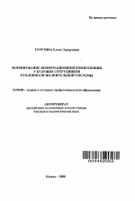 Автореферат по педагогике на тему «Формирование информационной компетенции у будущих сотрудников уголовно-исполнительной системы», специальность ВАК РФ 13.00.08 - Теория и методика профессионального образования