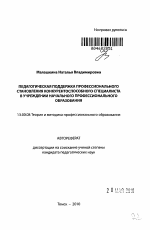 Автореферат по педагогике на тему «Педагогическая поддержка профессионального становления конкурентоспособного специалиста в учреждении начального профессионального образования», специальность ВАК РФ 13.00.08 - Теория и методика профессионального образования