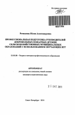 Автореферат по педагогике на тему «Профессиональная подготовка руководителей добровольных пожарных дружин сельскохозяйственных муниципальных образований с использованием обучающих игр», специальность ВАК РФ 13.00.08 - Теория и методика профессионального образования