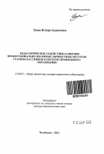 Автореферат по педагогике на тему «Педагогическое содействие развитию профессионально значимых личностных ресурсов старшеклассников в системе профильного образования», специальность ВАК РФ 13.00.01 - Общая педагогика, история педагогики и образования