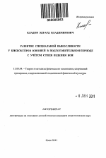 Автореферат по педагогике на тему «Развитие специальной выносливости у кикбоксёров юношей в подготовительном периоде с учётом стиля ведения боя», специальность ВАК РФ 13.00.04 - Теория и методика физического воспитания, спортивной тренировки, оздоровительной и адаптивной физической культуры