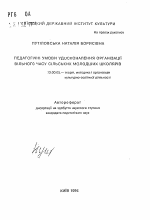 Автореферат по педагогике на тему «Педагогические условия совершенствования организации свободного времени сельских младших школьников», специальность ВАК РФ 13.00.05 - Теория, методика и организация социально-культурной деятельности