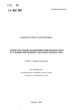 Автореферат по педагогике на тему «Этнокультурные взаимодействия подростков в условиях временного детскогоколлектива», специальность ВАК РФ 13.00.01 - Общая педагогика, история педагогики и образования