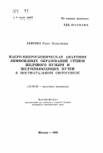 Автореферат по педагогике на тему «Совершенствование нормативных основ физического воспитания студентов групп общей физической подготовки основного отделения вуза», специальность ВАК РФ 13.00.04 - Теория и методика физического воспитания, спортивной тренировки, оздоровительной и адаптивной физической культуры