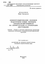 Автореферат по педагогике на тему «Дифференцирование подготовки юных пловцов, специализирующихся на спринтерских и стайерских дистанциях», специальность ВАК РФ 13.00.04 - Теория и методика физического воспитания, спортивной тренировки, оздоровительной и адаптивной физической культуры