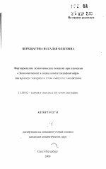 Автореферат по педагогике на тему «Формирование экономических понятий при изучении «Экономической и социальной географии мира» (нa примере материала темы "Мировое хозяйство")», специальность ВАК РФ 13.00.02 - Теория и методика обучения и воспитания (по областям и уровням образования)