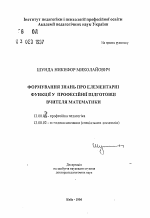 Автореферат по педагогике на тему «Формирование знаний об элементарных функциях в профессиональной подготовке учителя математики», специальность ВАК РФ 13.00.04 - Теория и методика физического воспитания, спортивной тренировки, оздоровительной и адаптивной физической культуры