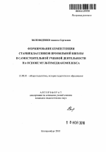 Автореферат по педагогике на тему «Формирование компетенции старшеклассников профильной школы в самостоятельной учебной деятельности на основе мультимедиакомплекса», специальность ВАК РФ 13.00.01 - Общая педагогика, история педагогики и образования