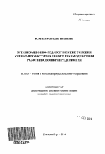 Автореферат по педагогике на тему «Организационно-педагогические условия учебно-профессионального взаимодействия работников микропредприятия», специальность ВАК РФ 13.00.08 - Теория и методика профессионального образования