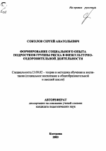 Автореферат по педагогике на тему «Формирование социального опыта подростков группы риска в физкультурно-оздоровительной деятельности», специальность ВАК РФ 13.00.02 - Теория и методика обучения и воспитания (по областям и уровням образования)