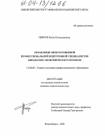 Диссертация по педагогике на тему «Управление многоуровневой профессиональной подготовки специалистов финансово-экономического профиля», специальность ВАК РФ 13.00.08 - Теория и методика профессионального образования