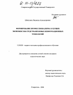 Диссертация по педагогике на тему «Формирование профессионализма будущих экономистов средствами новых информационных технологий», специальность ВАК РФ 13.00.08 - Теория и методика профессионального образования