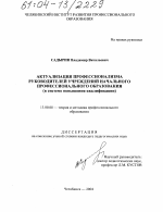 Диссертация по педагогике на тему «Актуализация профессионализма руководителей учреждений начального профессионального образования», специальность ВАК РФ 13.00.08 - Теория и методика профессионального образования