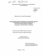 Диссертация по психологии на тему «Взаимосвязь мотивационно-смысловой сферы с состоянием адаптации личности в постэкстремальных условиях», специальность ВАК РФ 19.00.01 - Общая психология, психология личности, история психологии