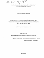 Диссертация по психологии на тему «Особенности профессиональной идентификации студентов экономических специальностей в процессе вузовской подготовки», специальность ВАК РФ 19.00.07 - Педагогическая психология