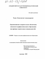 Диссертация по педагогике на тему «Организационно-содержательное обеспечение начального профессионального образования», специальность ВАК РФ 13.00.08 - Теория и методика профессионального образования