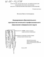 Диссертация по педагогике на тему «Формирование образовательного пространства начального профессионального образования в федеральном округе», специальность ВАК РФ 13.00.08 - Теория и методика профессионального образования