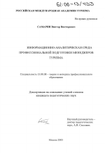 Диссертация по педагогике на тему «Информационно-аналитическая среда профессиональной подготовки менеджеров туризма», специальность ВАК РФ 13.00.08 - Теория и методика профессионального образования