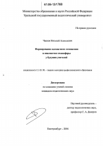 Диссертация по педагогике на тему «Формирование адекватного отношения к опасностям техносферы у будущих учителей», специальность ВАК РФ 13.00.08 - Теория и методика профессионального образования