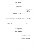 Диссертация по педагогике на тему «Формирование правовой среды аграрного колледжа», специальность ВАК РФ 13.00.08 - Теория и методика профессионального образования