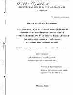 Диссертация по педагогике на тему «Педагогические условия эффективного формирования профессиональной туристской направленности школьников», специальность ВАК РФ 13.00.08 - Теория и методика профессионального образования