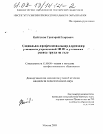 Диссертация по педагогике на тему «Социально-профессиональная адаптация учащихся учреждений НПО к условиям рынка труда на селе», специальность ВАК РФ 13.00.08 - Теория и методика профессионального образования