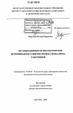 Диссертация по психологии на тему «Организационно-психологические детерминанты развития профессионализма работников», специальность ВАК РФ 19.00.03 - Психология труда. Инженерная психология, эргономика.