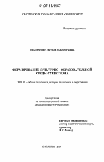 Диссертация по педагогике на тему «Формирование культурно-образовательной среды субрегиона», специальность ВАК РФ 13.00.01 - Общая педагогика, история педагогики и образования