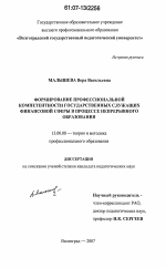 Диссертация по педагогике на тему «Формирование профессиональной компетентности государственных служащих финансовой сферы в процессе непрерывного образования», специальность ВАК РФ 13.00.08 - Теория и методика профессионального образования