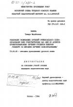 Диссертация по педагогике на тему «Реализация развивающих потенций суффиксального словообразования имен существительных как один из аспектов профессионализации обучения студентов педвузов (спецкурс по методике обучения словообразованию)», специальность ВАК РФ 13.00.02 - Теория и методика обучения и воспитания (по областям и уровням образования)