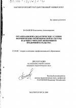 Диссертация по педагогике на тему «Организационно-дидактические условия формирования экономической культуры будущих учителей экономики и предпринимательства», специальность ВАК РФ 13.00.08 - Теория и методика профессионального образования