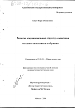 Диссертация по педагогике на тему «Развитие операциональных структур мышления младших школьников в обучении», специальность ВАК РФ 13.00.04 - Теория и методика физического воспитания, спортивной тренировки, оздоровительной и адаптивной физической культуры