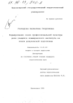 Диссертация по педагогике на тему «Формирование основ профессиональной культуры речи учащихся коммерческого института на этапе довузовской подготовки», специальность ВАК РФ 13.00.01 - Общая педагогика, история педагогики и образования