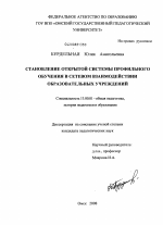 Диссертация по педагогике на тему «Становление открытой системы профильного обучения в сетевом взаимодействии образовательных учреждений», специальность ВАК РФ 13.00.01 - Общая педагогика, история педагогики и образования